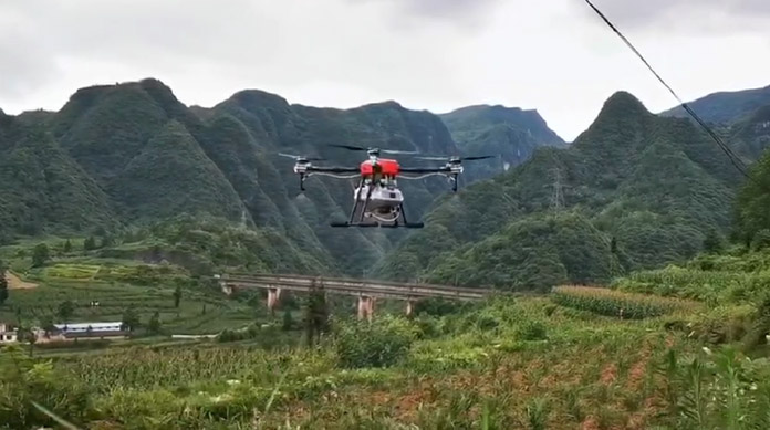 鼎峰无限喷药农用无人机综合防治大福姜病虫害问题现场操作视频